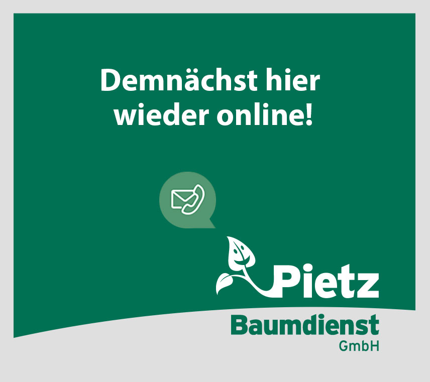 Pietz Baumdienst GmbH - der Baumfachmann